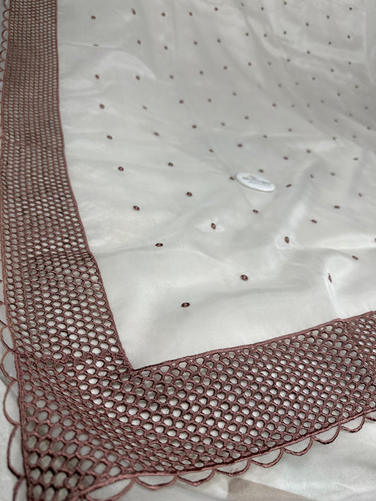 Organza silk Saree with cutwork